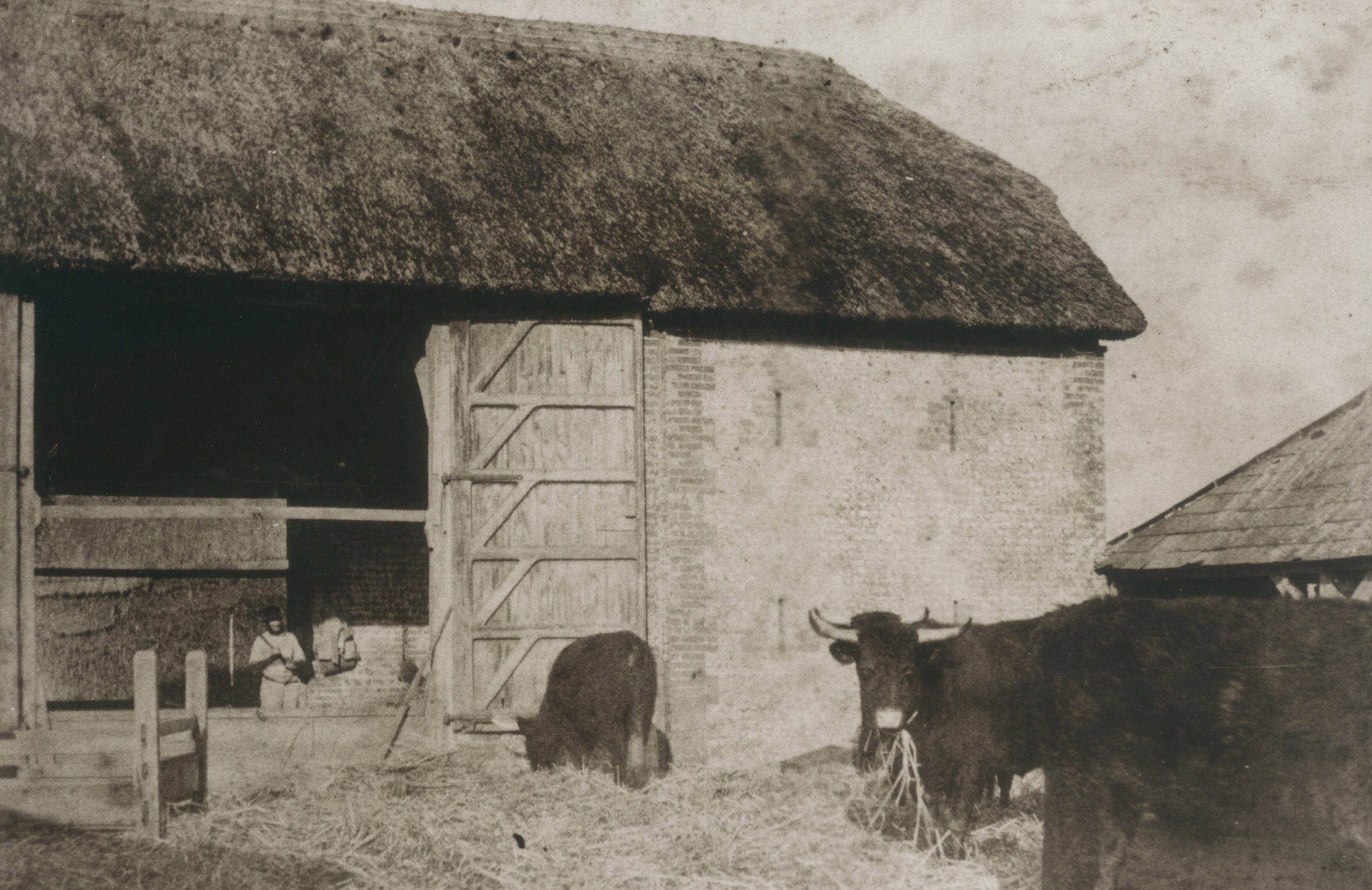 flint barn binsted 1895